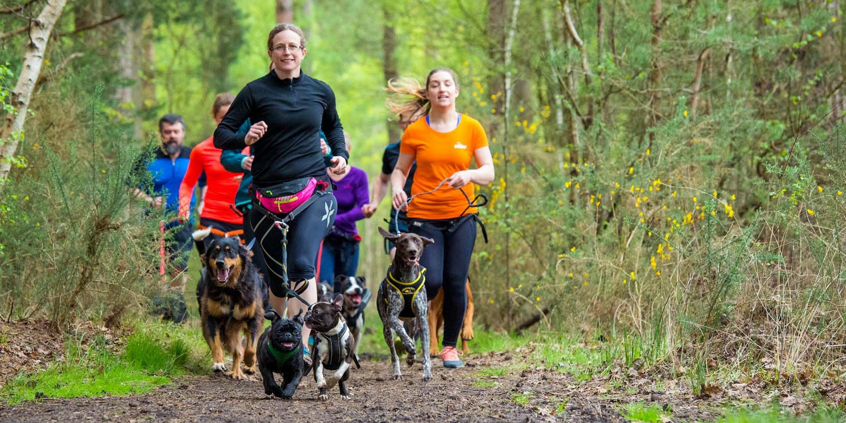 Group running in Woodland